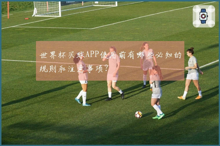 世界杯买球APP使用前有哪些必知的规则和注意事项？