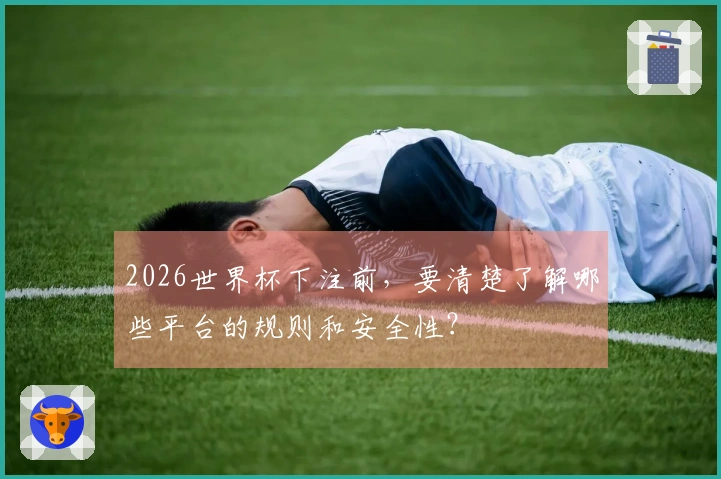 2026世界杯下注前，要清楚了解哪些平台的规则和安全性？