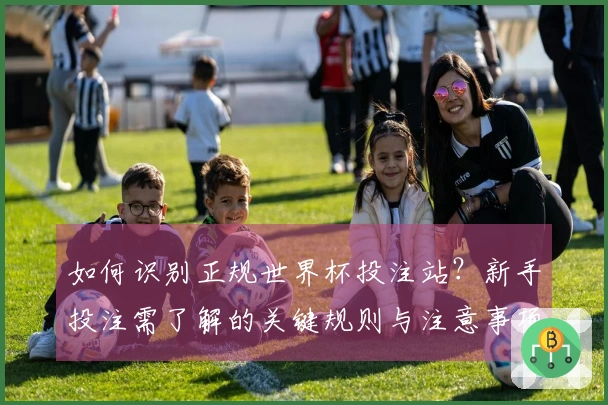 如何识别正规世界杯投注站？新手投注需了解的关键规则与注意事项