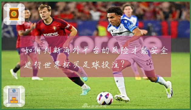 如何判断海外平台的风险才能安全进行世界杯买足球投注？