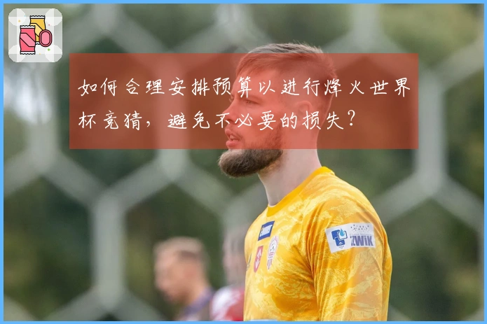 如何合理安排预算以进行烽火世界杯竞猜，避免不必要的损失？