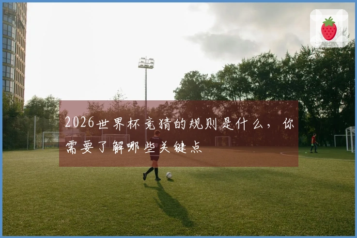 2026世界杯竞猜的规则是什么，你需要了解哪些关键点