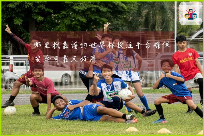 哪里找靠谱的世界杯投注平台确保安全可靠又好用
